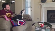 Sevimli Köpekten Dizi Şarkısı!