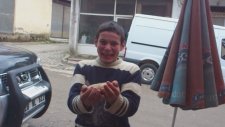 Kafasıyla Patates Parçalamaya Çalışan Çoçuk