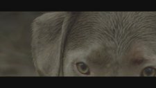 Parachute Youth - Count To Ten (Official Video)