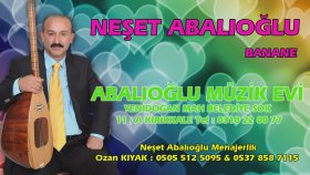 Neşet Abalıoğlu - Alışırsın Dediler Neşet Abalıoğlu - Alışırsın Dediler
