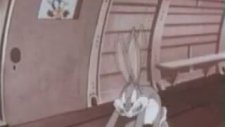 Bugs Bunny Uçakta (Türkce)