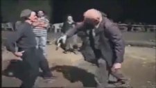 Amcalar Harlem Shake İle Coşuyolar