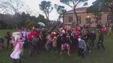 Harlem Shake - Boğaziçi Üniversitesi