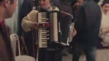 Harmonikas Alo