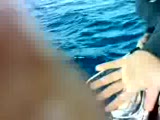 Sinarit Avı