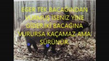 Domuz Avı İncelikleri