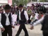 Gediz Efeleri