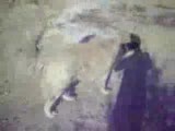 kangal kırması