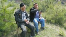 Erenler Türbesi