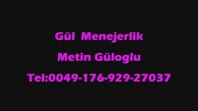 Nebi Tecelli - Hangimiz Sevmedik Nebi Tecelli - Hangimiz Sevmedik