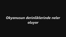 Okyanusun Derinliklerinde Neler Oluyor