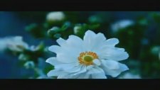 Grup Dergah - Mekke'nin Dağları
