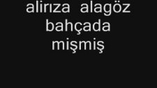 Alirıza Alagöz - Bahçada Mişmiş