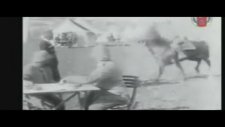 Tüyleriniz diken diken olacak!
