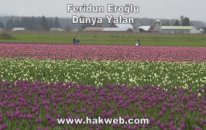 Feridun Eroğlu - Dünya Yalan