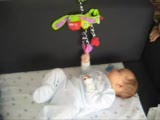 Omer2