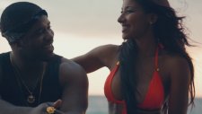 Skrillex & Birdy Nam Nam - Wild For The Night (Explicit)