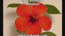 Grup Kardelen - Yusufum
