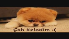 Seni Nasıl Özledim
