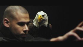 Afrojack - Ft. Chris Brown - As Your Friend Afrojack - Ft. Chris Brown - As Your Friend