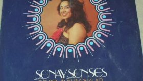Şenay Şenses - Agla Gözlerim LONG PLAY Şenay Şenses - Agla Gözlerim LONG PLAY