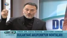 Kulaktaki Akupunktur Noktaları