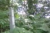 Unuttum Bilsin