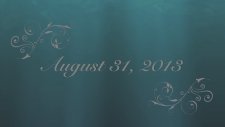 Diamond Cay Underwater Scuba Surprise Wedding Proposal By Utila Cays Diving!