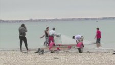 Ridersmatch - Horse Surfing By The La Baule Crew