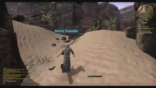 The Elder Scrolls Online Game Play
