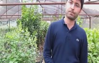 Gül Fidanı Ne Zaman Dikilir?