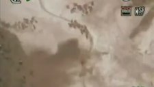 Hakkari'de 400 Katırla Yapılan Kaçakçılık Önlendi
