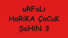 Urfalı Harika Çocuk Şahin 3