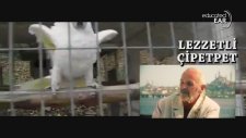 Arnavut Şevket (The Birdman) - Lezzetli Çipetpet (Educatedear Remix)