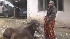 İşte Anadolu İnsanı