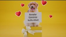 Şeften Annelere