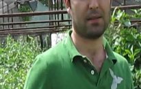 Armut Fidanı Hangi Aylarda Dikililebilir?