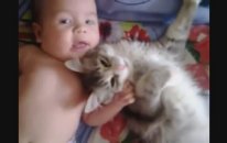 Kedi Bebek Kardeşliği