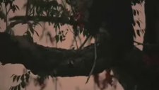 The Crow: Wicked Prayer Fragman