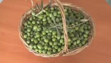 Yeşil Zeytin Salamurası Nasıl Yapılır?