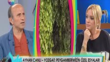 Yaşar Nuri Özturk : Sakal-ı Şerif Diye Bir Şey Yoktur