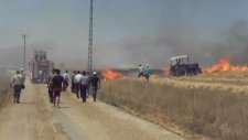 Tufanbeylide Ekinler Alev Alev Yanıyor