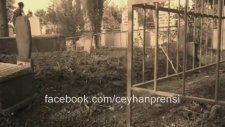Ceyhan Prensi - Mezarına Geldim Anne