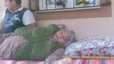 Torpil Patladı Nene Coştu