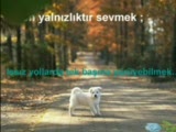 Sevmek Bazen_hiç Üzülme Ben Varım_ayten Alpman