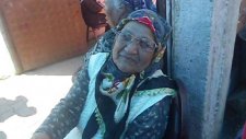 Sazlar Yemekte