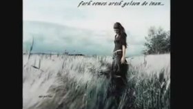 Ayşegül Aldinç - Sorma Ne Haldeyim Ayşegül Aldinç - Sorma Ne Haldeyim