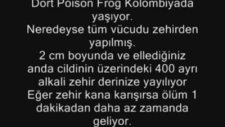 Dünyanın En Zehirli 7 Hayvanı