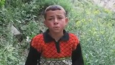 Oltulu Çocuk Metehan - Ceylan Gözlüm