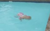 Bu Bebek Süper Yüzüyor